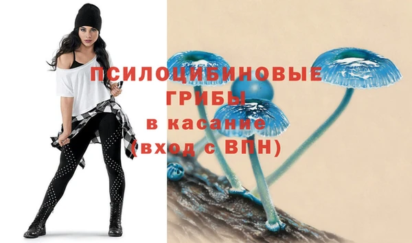 марки nbome Богданович
