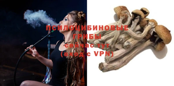 твердый Белоозёрский
