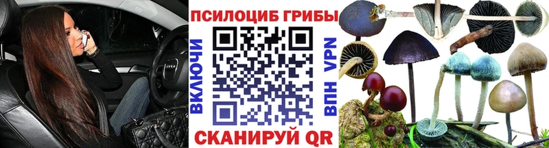 Псилоцибиновые грибы Psilocybine cubensis  Ейск 